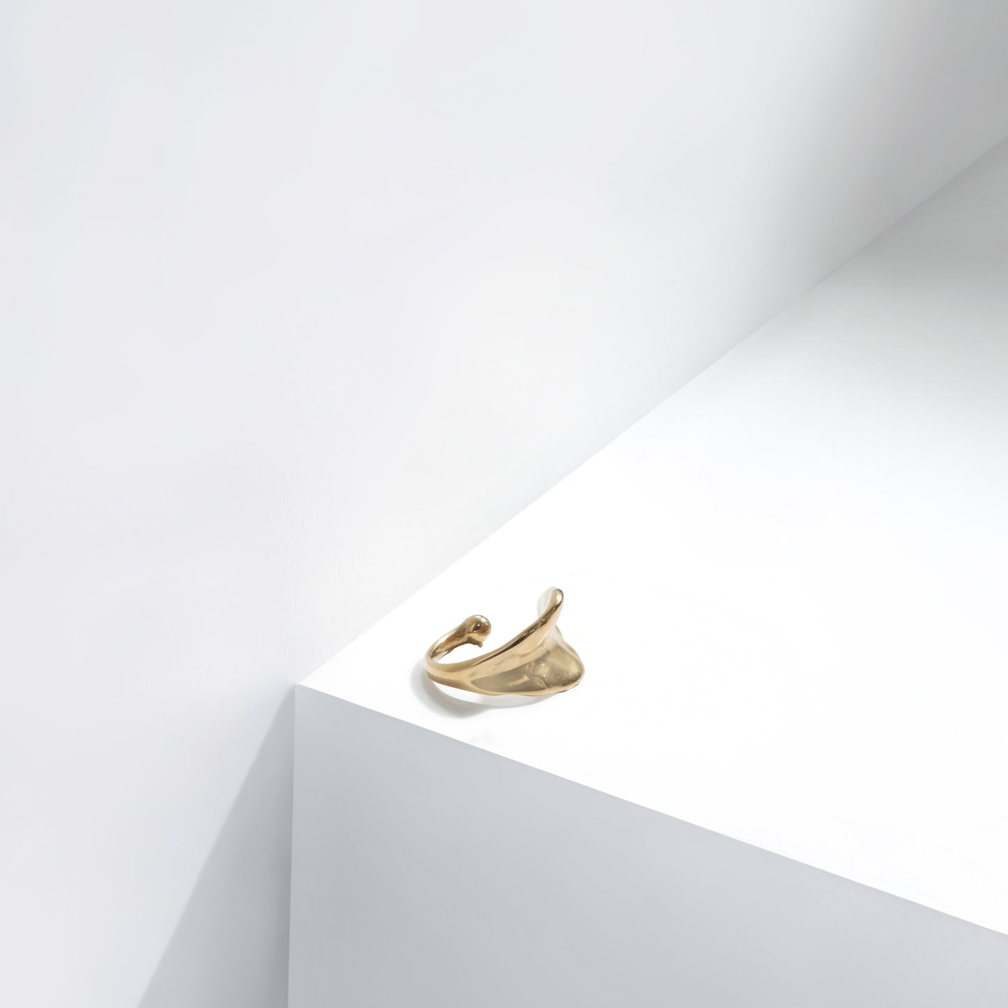 The Fluid Form Ring – Hypoallergenic & Elegant